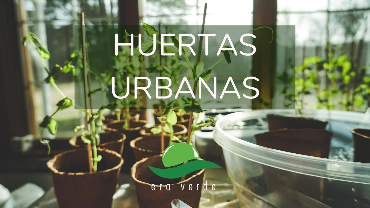 Huertas Urbanas | Era Verde