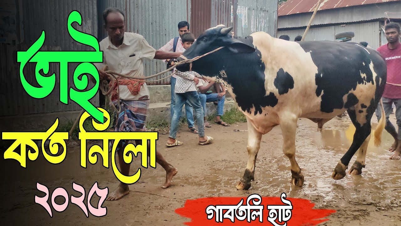 Bhai Koto Nilo 2025?🐂 Gabtoli Gorur Haat 2025 | Qurbani Cow Price 2025 Today