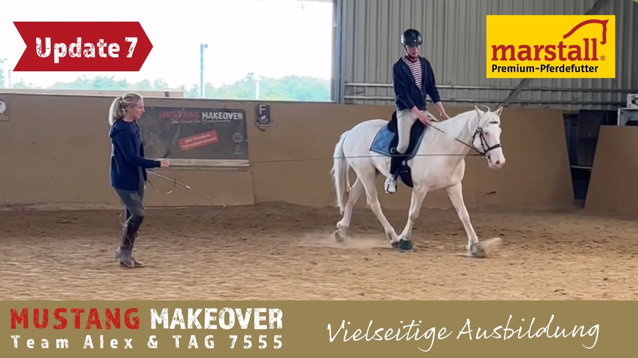 Kutsche, Reiten, Bodenarbeit, was kann er nicht?!😎 - Team Alex | MUSTANG MAKEOVER 2024