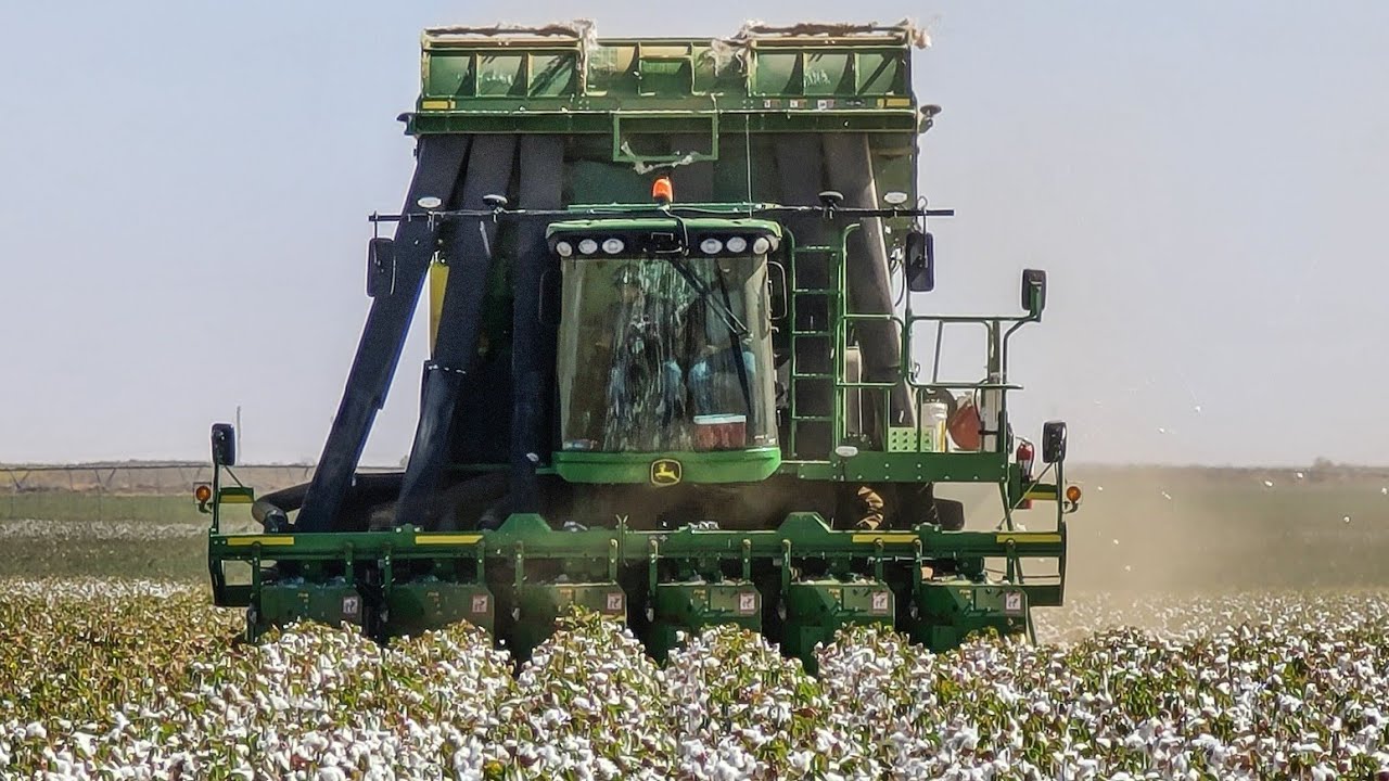 John Deere CP690 Picking Organic Pima Cotton.