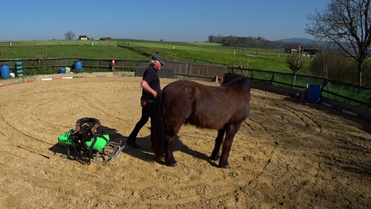 Vorbereitung zum Holzrücken und Wagen ziehen