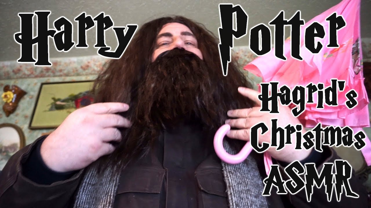 Hagrid Christmas Harry Potter ASMR Fireplace and Ticking Clock  Sounds