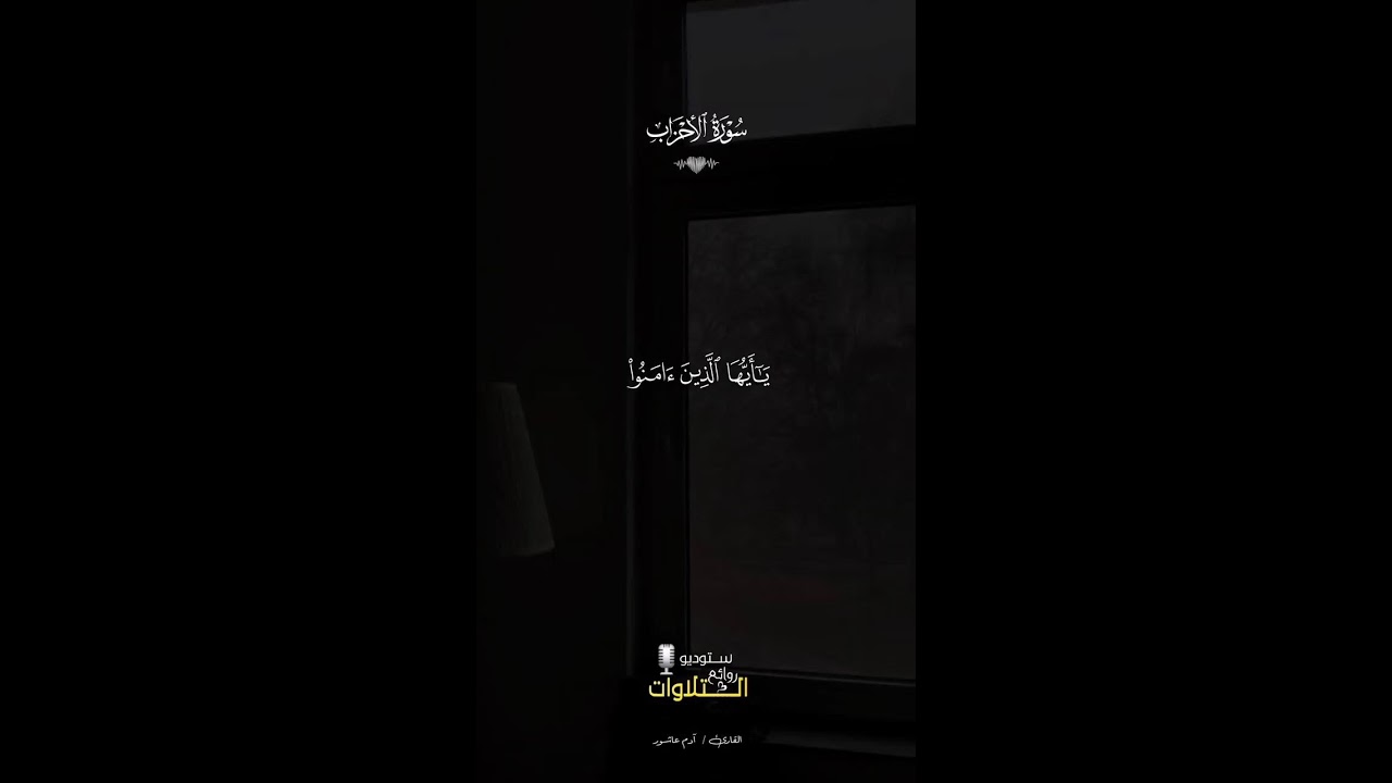 ManyCam Stream