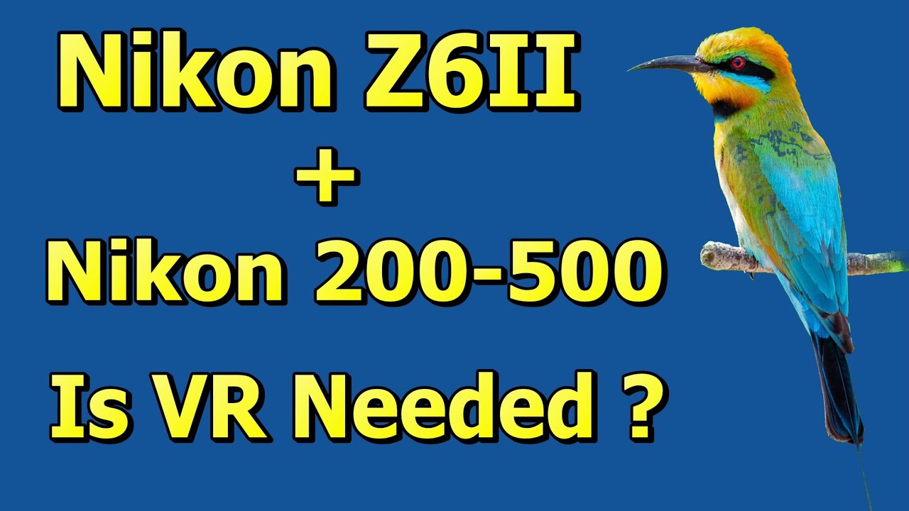 Nikon Z6ii with Nikon 200-500mm - Why I use VR for Bird Photography
