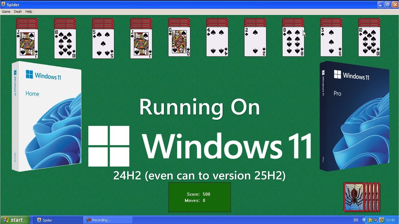 Spider Solitaire (Windows XP) running on Windows 11 v24H2