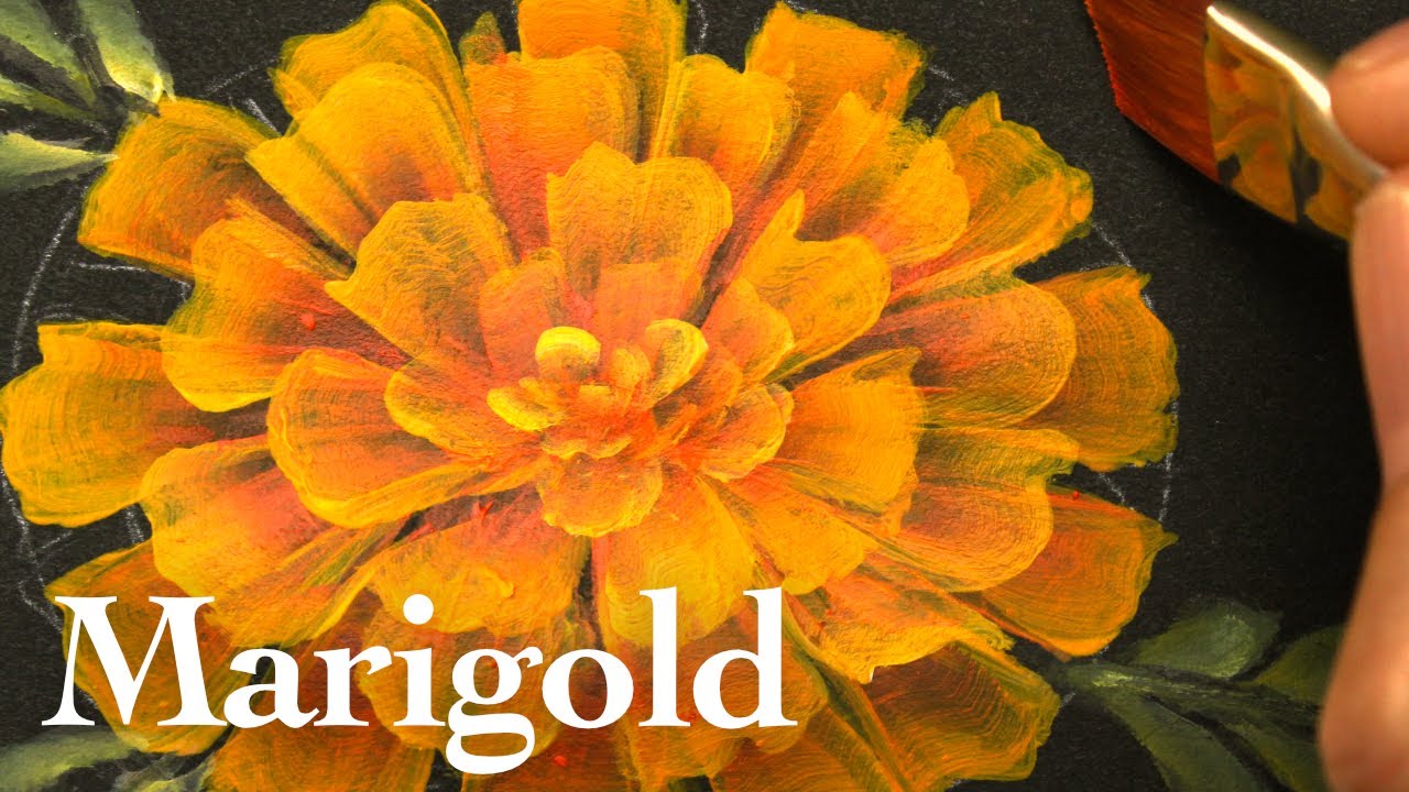 How to paint marigold flower for beginners |One stroke( in 3 minutes )