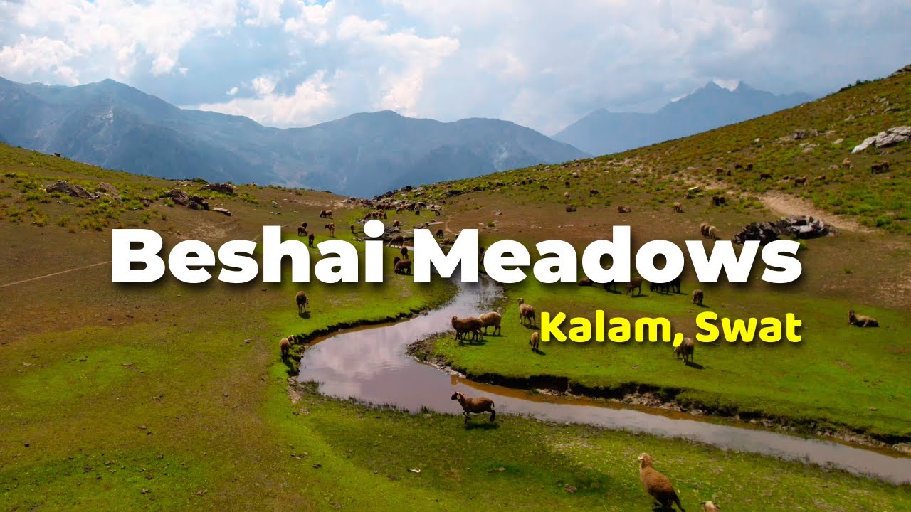 Beshai Meadows, Kalam | Kalam Valley | Swat