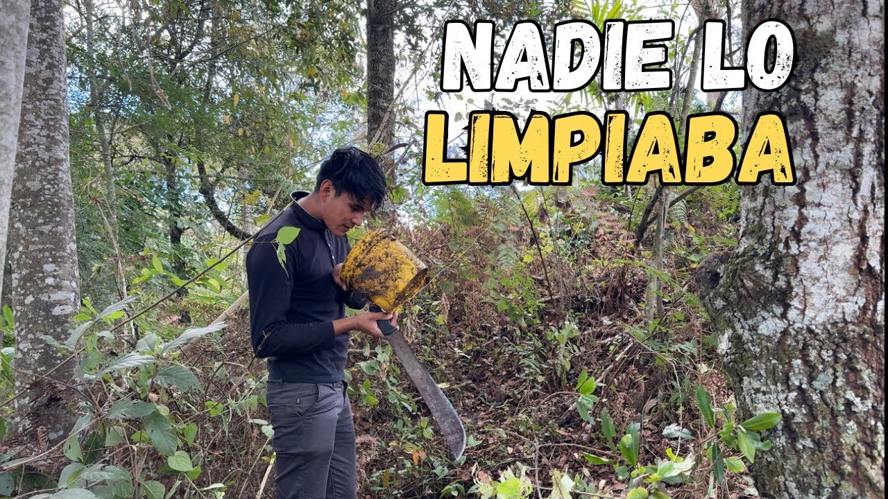 Este TERRENO Estaba Perdido Entre La Maleza, Vean El CAMBIO👌🏼