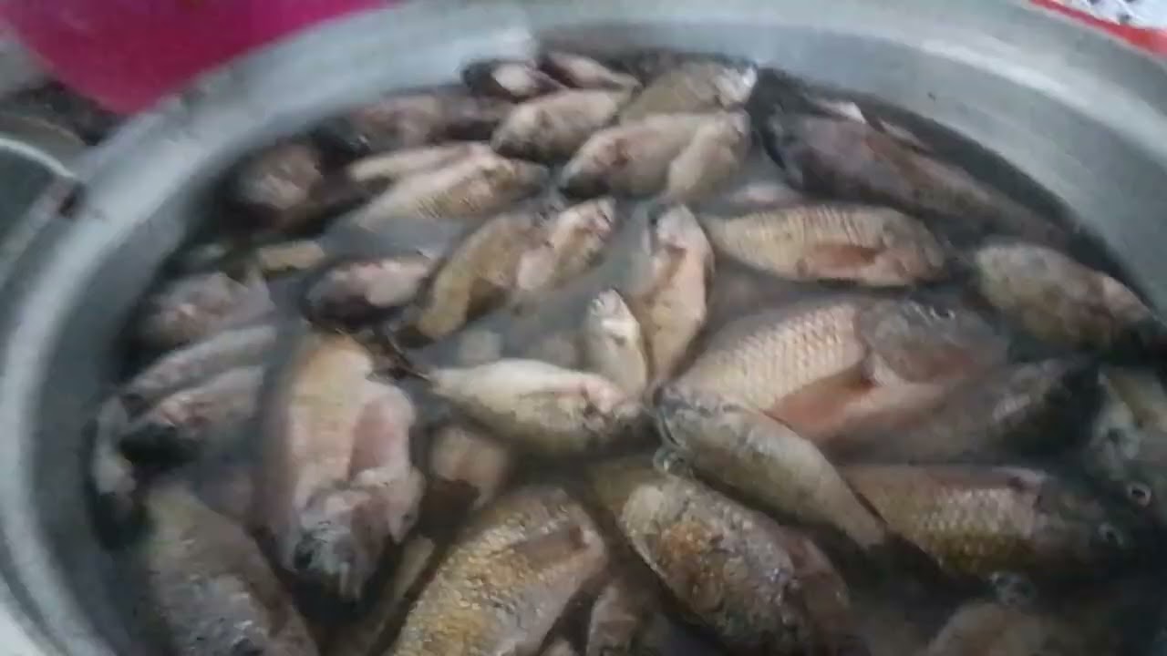  فطار النهارده واحلي صنية مسقعه 🥰✨