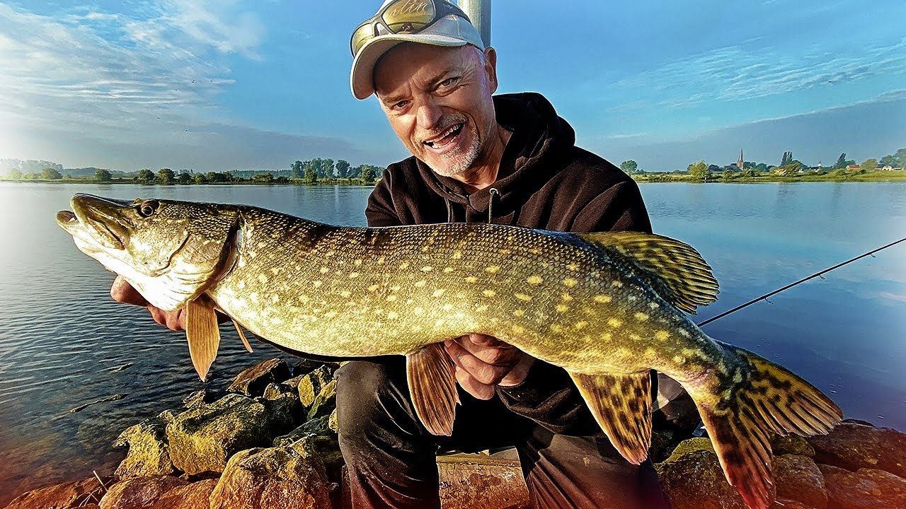 Erfolgreich Angeln vom Ufer - so f&auml;ngst du MEHR FISCH im Fluss!