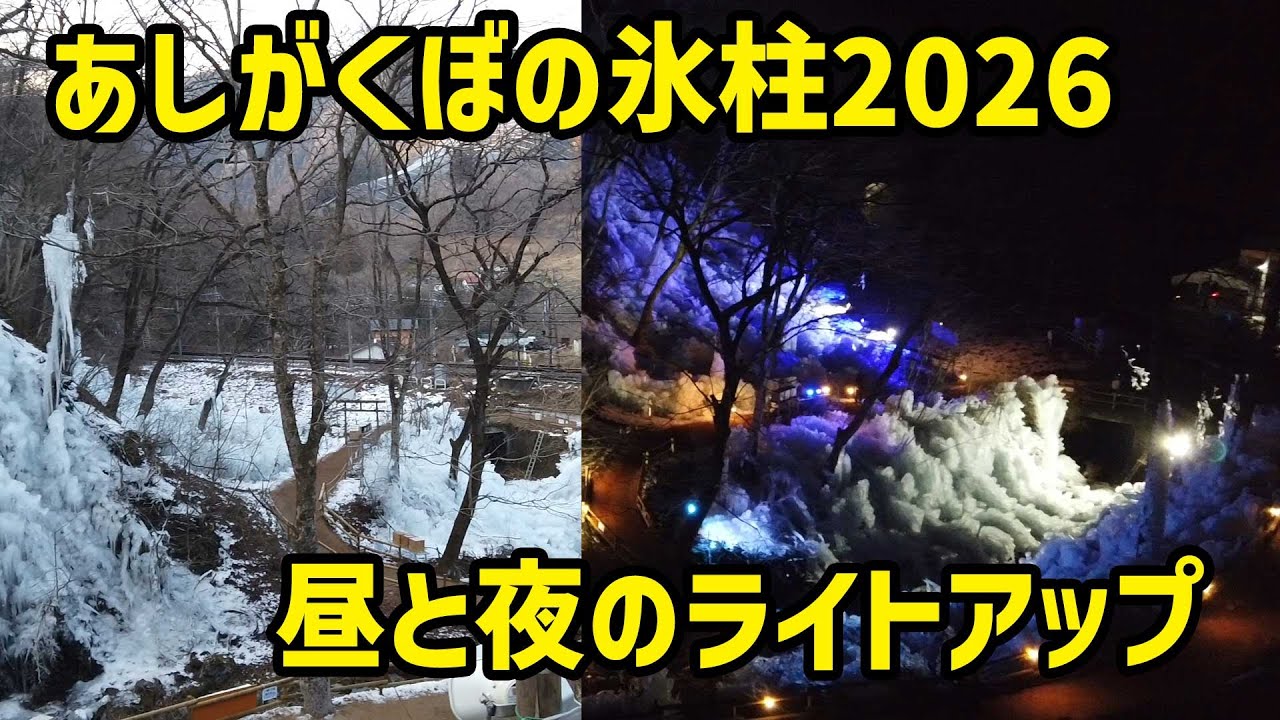 あしがくぼの氷柱2026 昼と夜のライトアップの記録