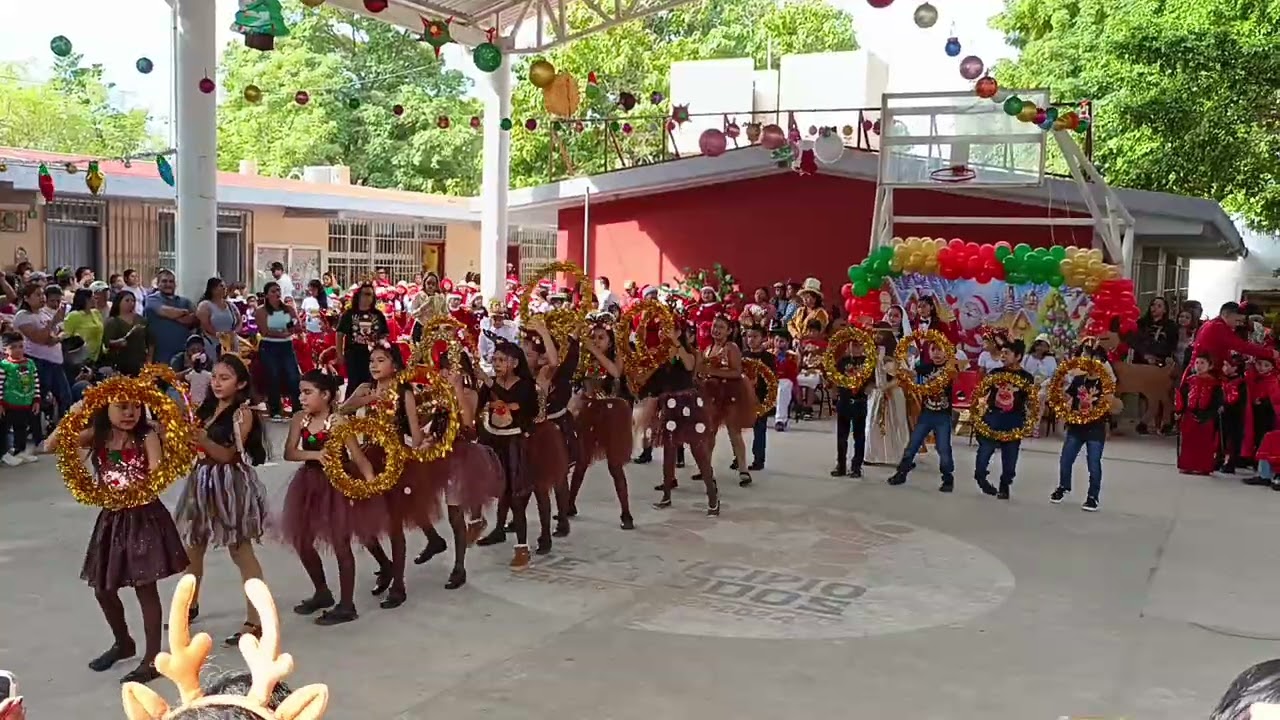 Festival escuela Diciembre 2025