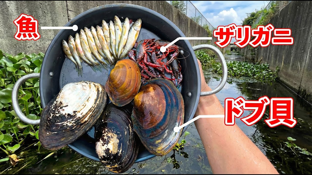 ドブの食材だけでパエリア作ってみた【ENG SUB】