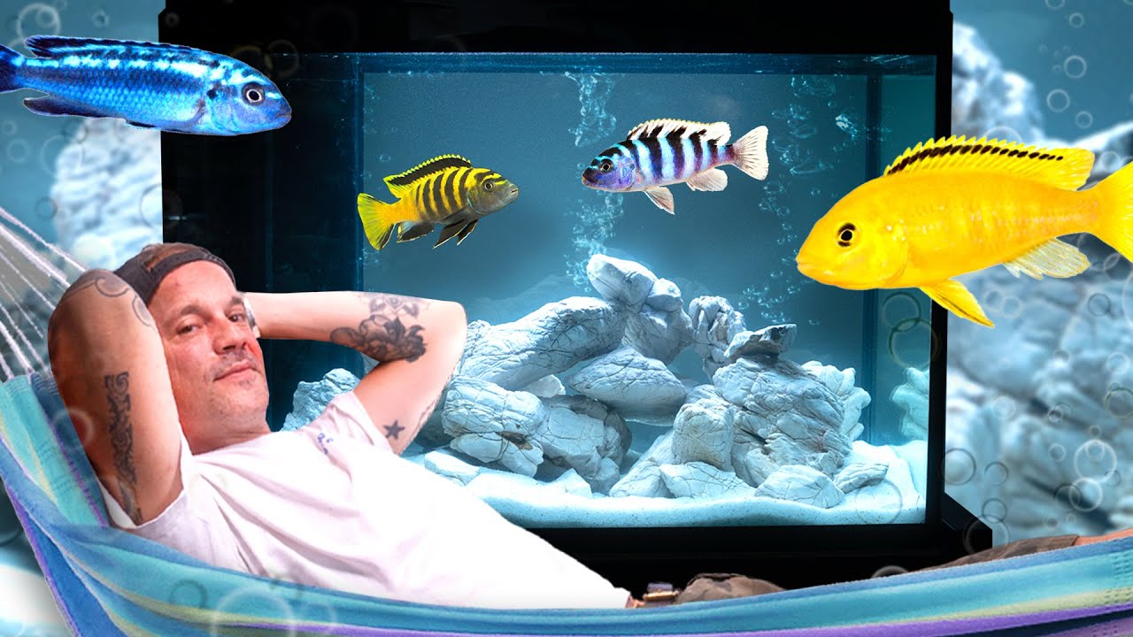 UN AQUARIUM INCROYABLE QUAND T'AS LA FLEMME ?! - TOOPET