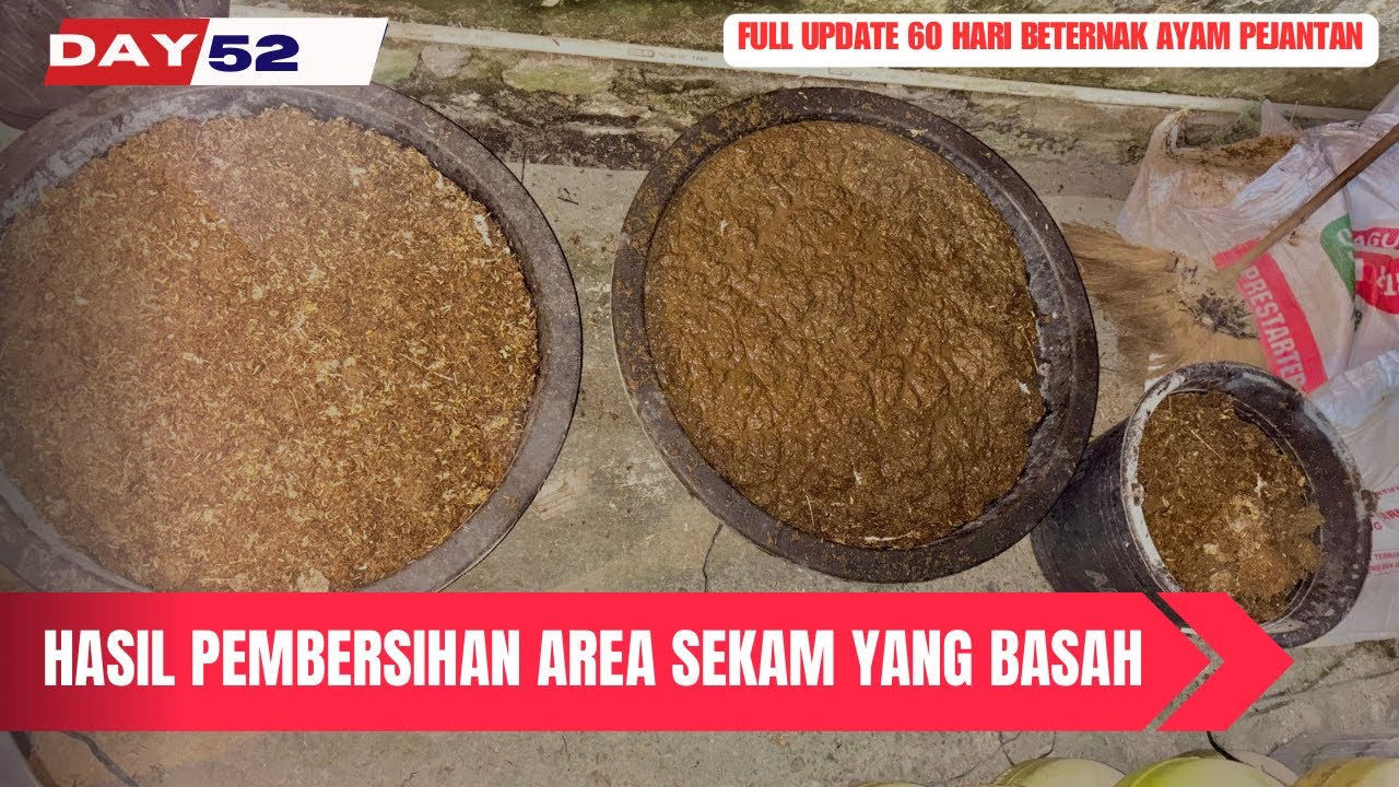 DAY 52 - KEBANJIRAN KEDUA KALINYA 😭