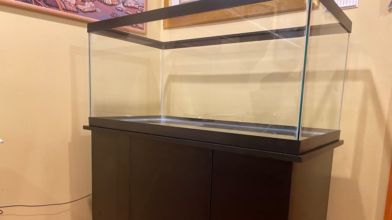 Creating a fish tank stand for a 40 gallon breeder tank! | Joe&rsquo;s goldfish