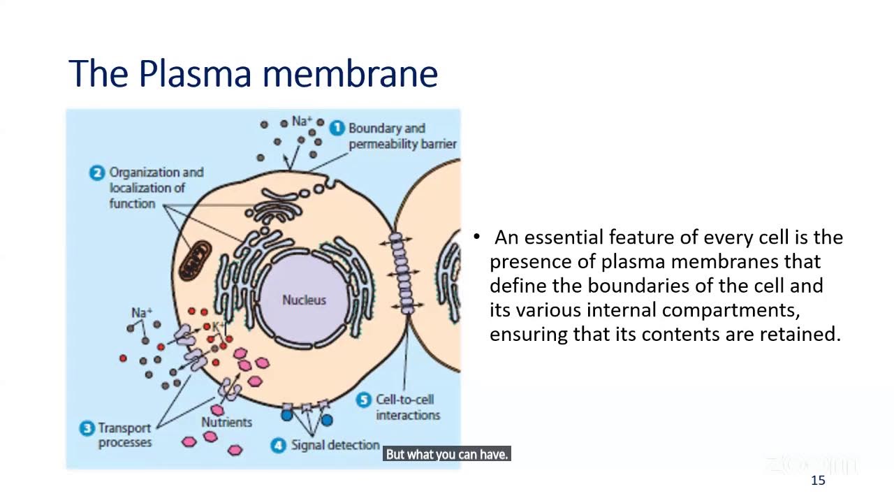 BIO101- Lecture 1