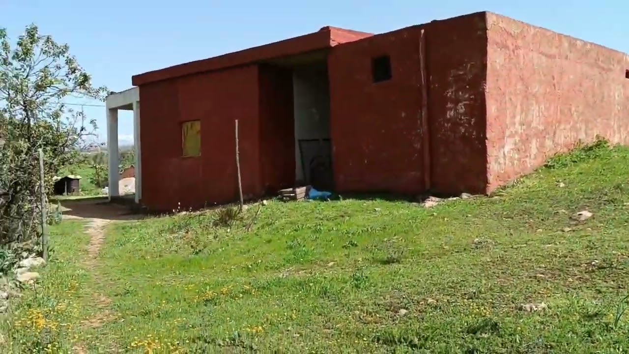 فيرما دائرة بزيتون فيها تفاح شهدية مشماش مجهزة ضوء طريق ماء مجود وسط ضيعات فلاحية 0679444657 محفضة