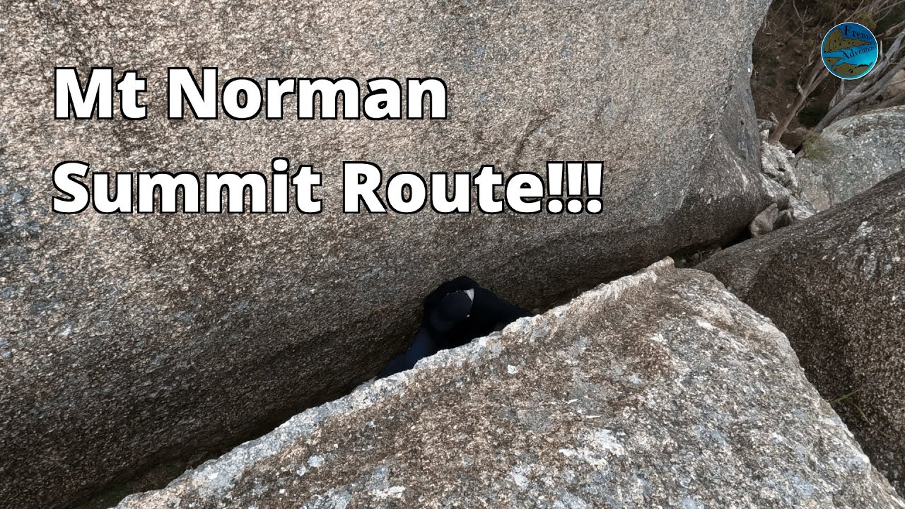 Rock-scrambling Girraween's Highest Peak! MT NORMAN!!!