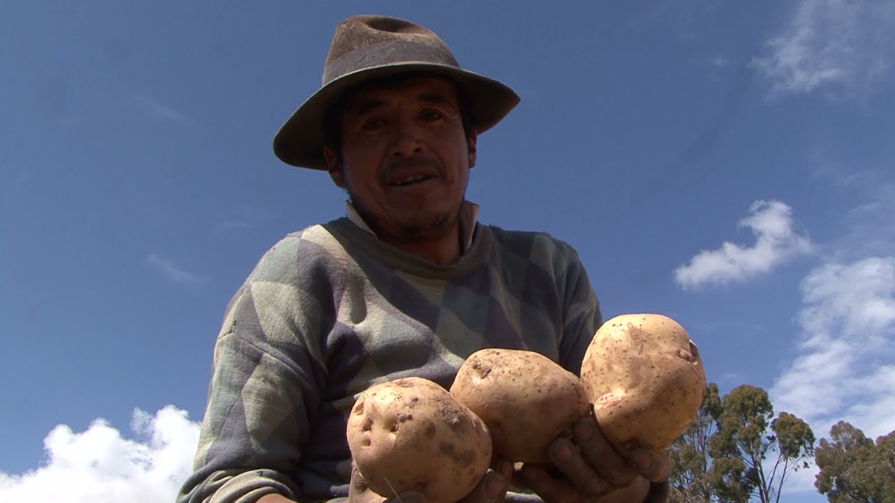 Resultados de la implementación de la Propuesta Económica Productiva