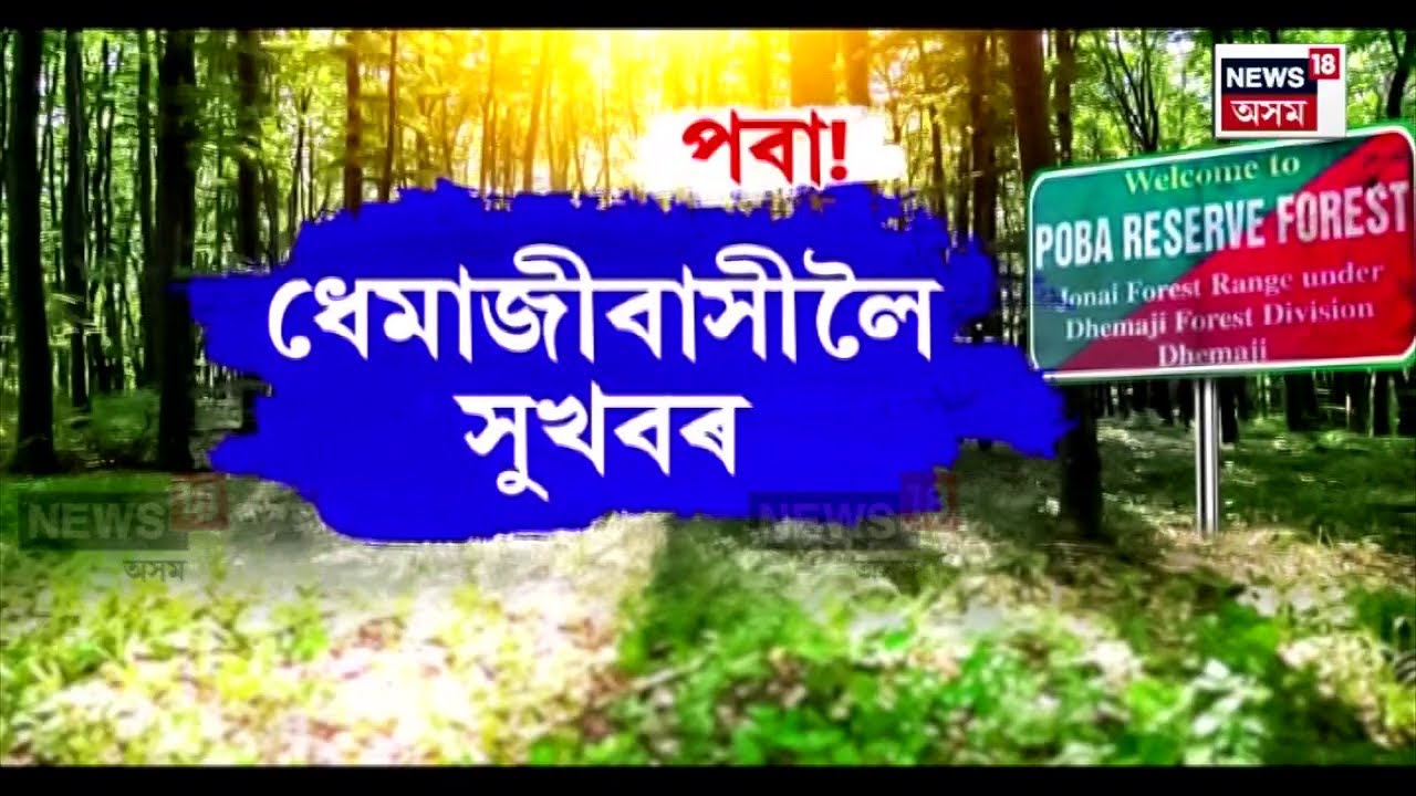 Poba Reserve Forest : পবা সংৰক্ষিত বনাঞ্চল হ'ব বন্যপ্ৰাণী অভয়াৰণ্য | N18V