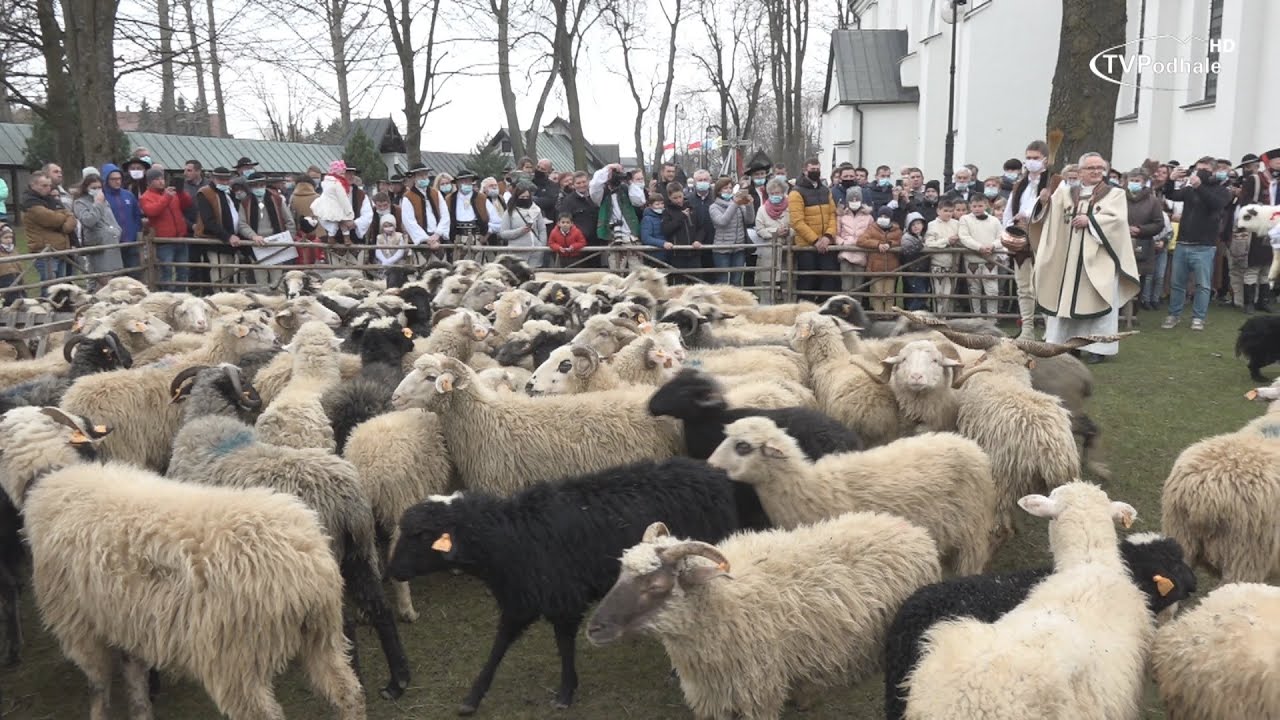 Tradycyjne Święto Bacowskie w Ludźmierzu