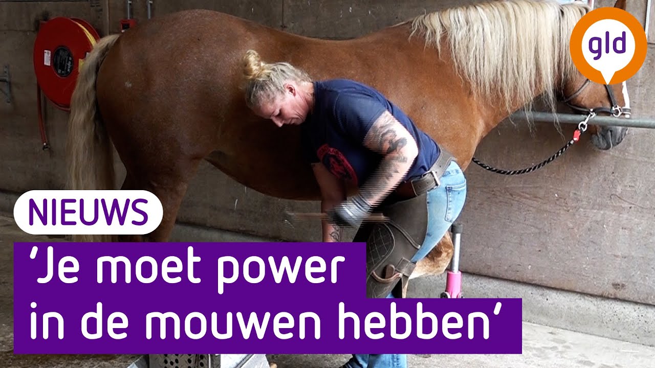 Meer hoeven dan hoefsmeden in Gelderland