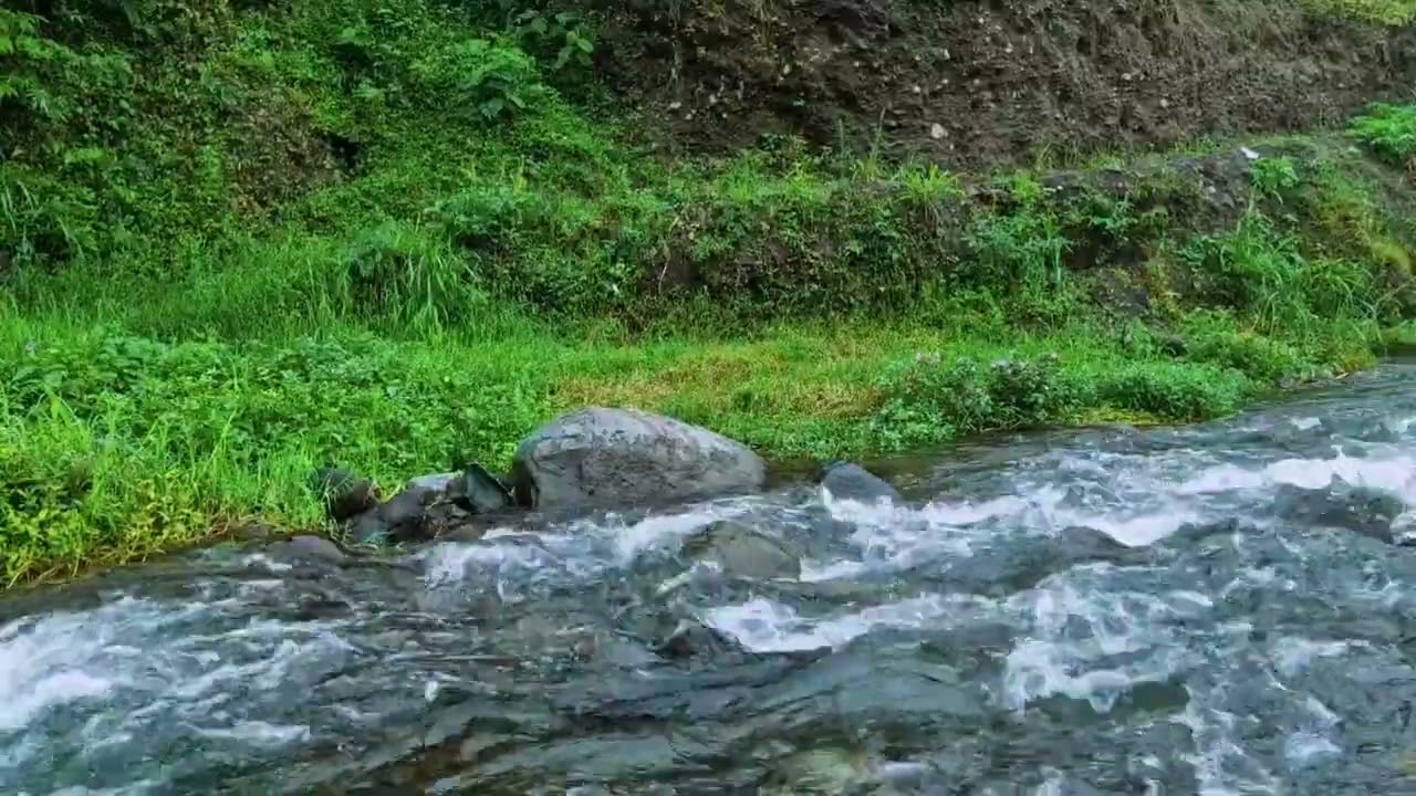 Tranquil River Background | Relaxing Flowing Water ASMR