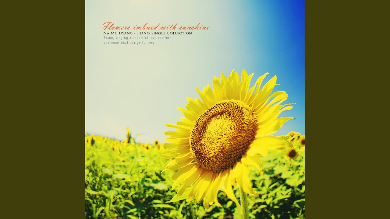 Sunburst flowers
