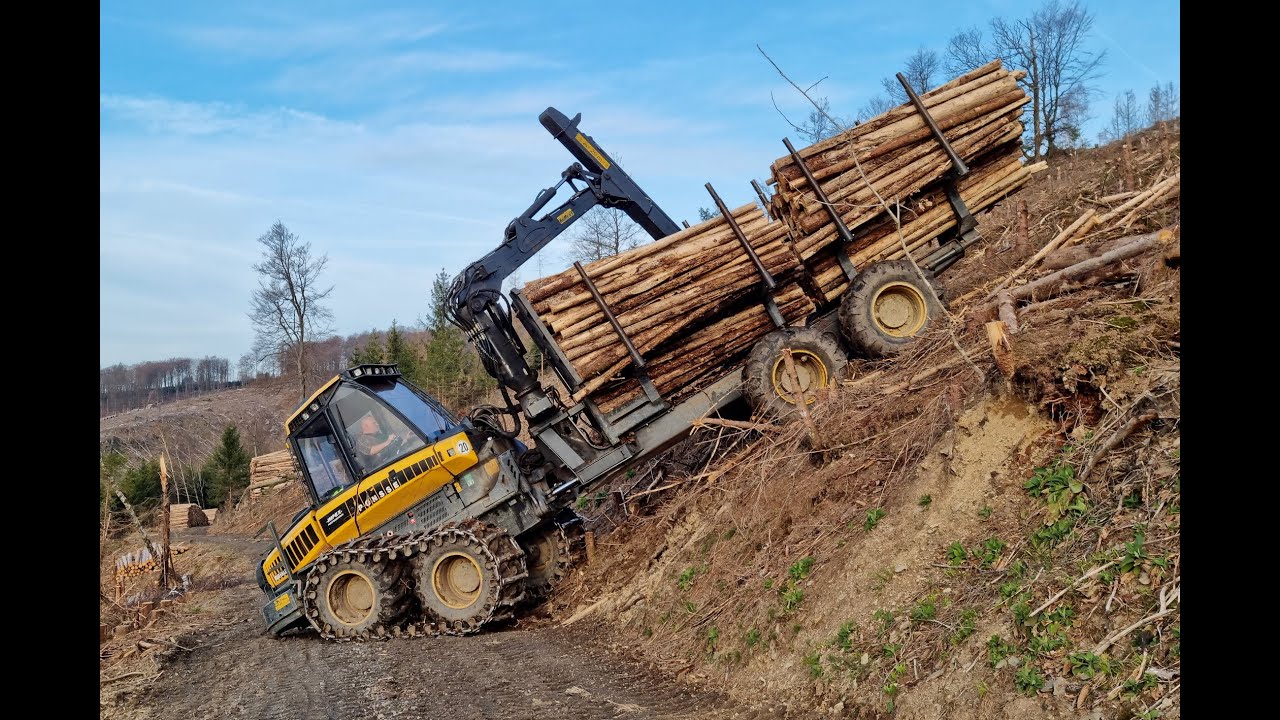 🌲Buffalo in slope • Ponsse Buffalo • Steilhang extrem • Forwarder Action • Ponsse Logging🌲