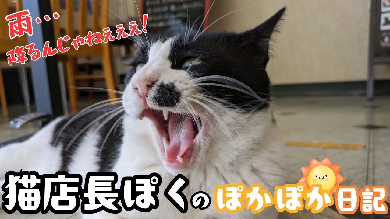 ぽく店長のゆる～い日常