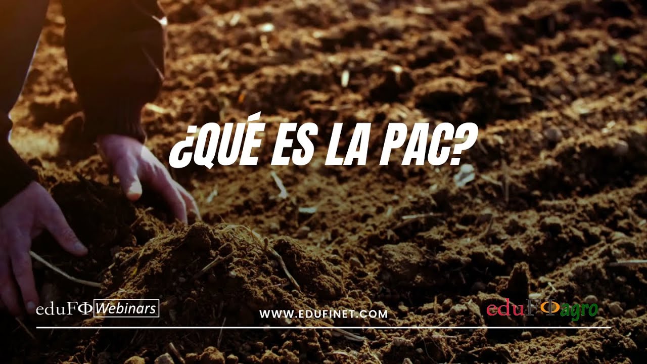 🐮 ¿Qué es la PAC? Política agrícola común: 2023-2027