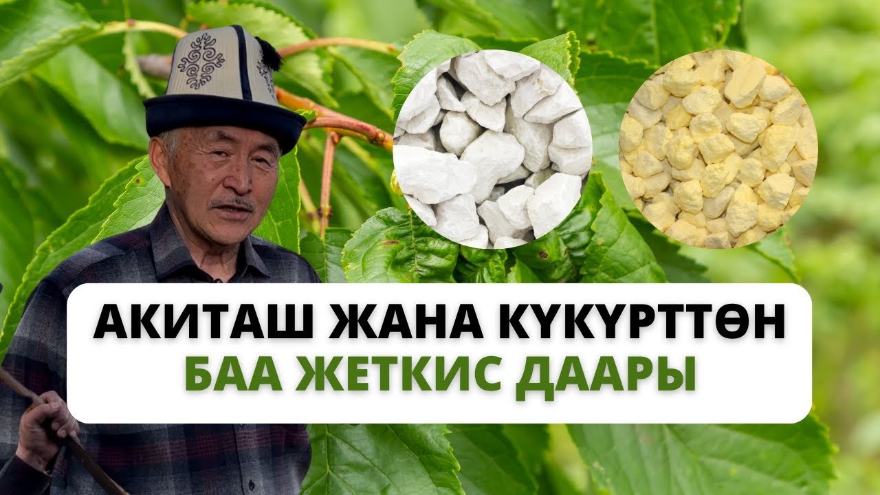 Өсүмдүккө даарыны сатып албай, үйдөн жасаса болот