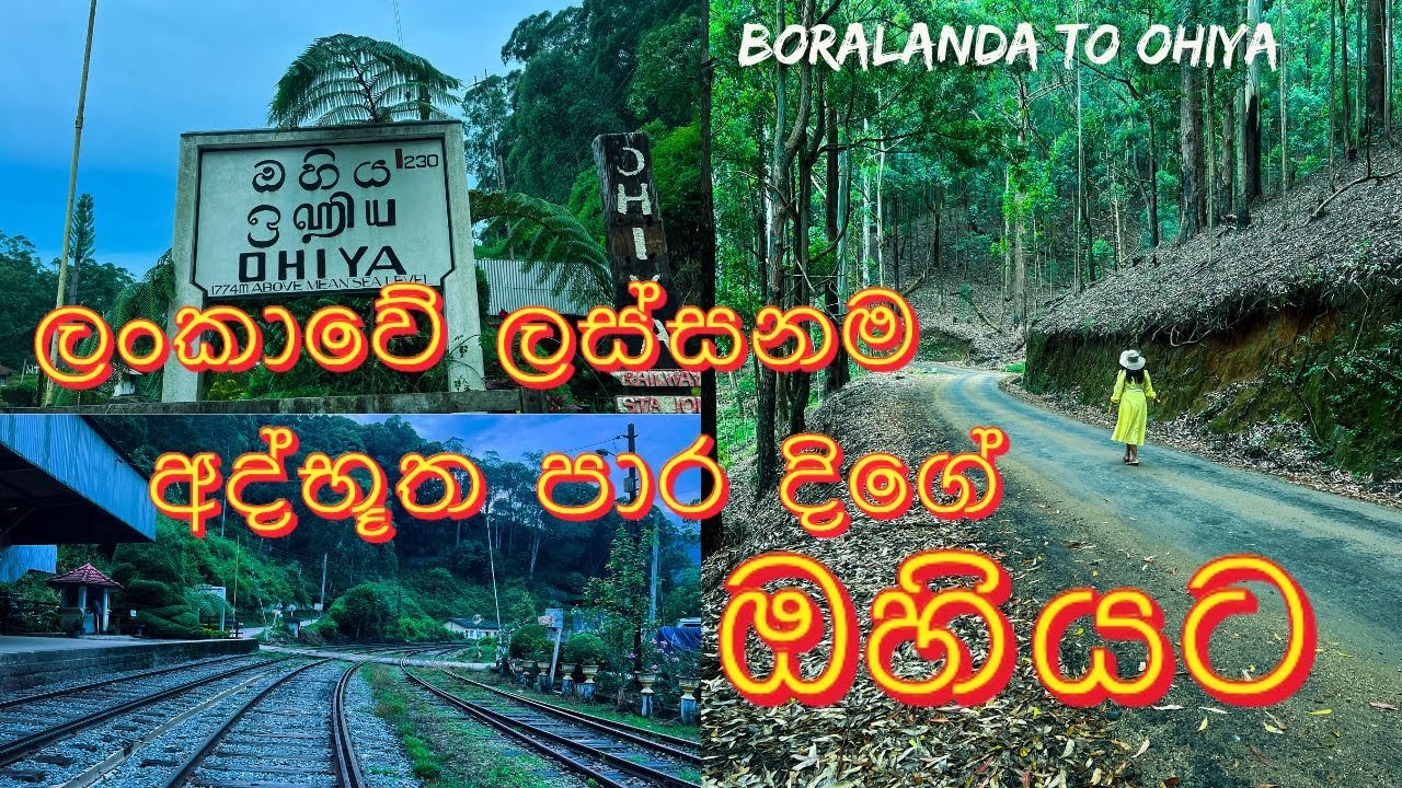 Ohiya | Boralanda to Ohiya | ලංකාවේ ලස්සනම පාර | Ohiya Railway Station