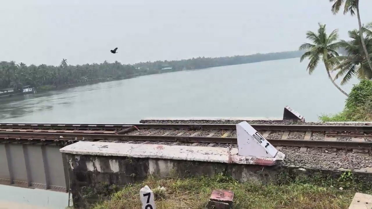 A Kerala train journey through Gods Own Country #nature #travel #train #kerala #love #explore 