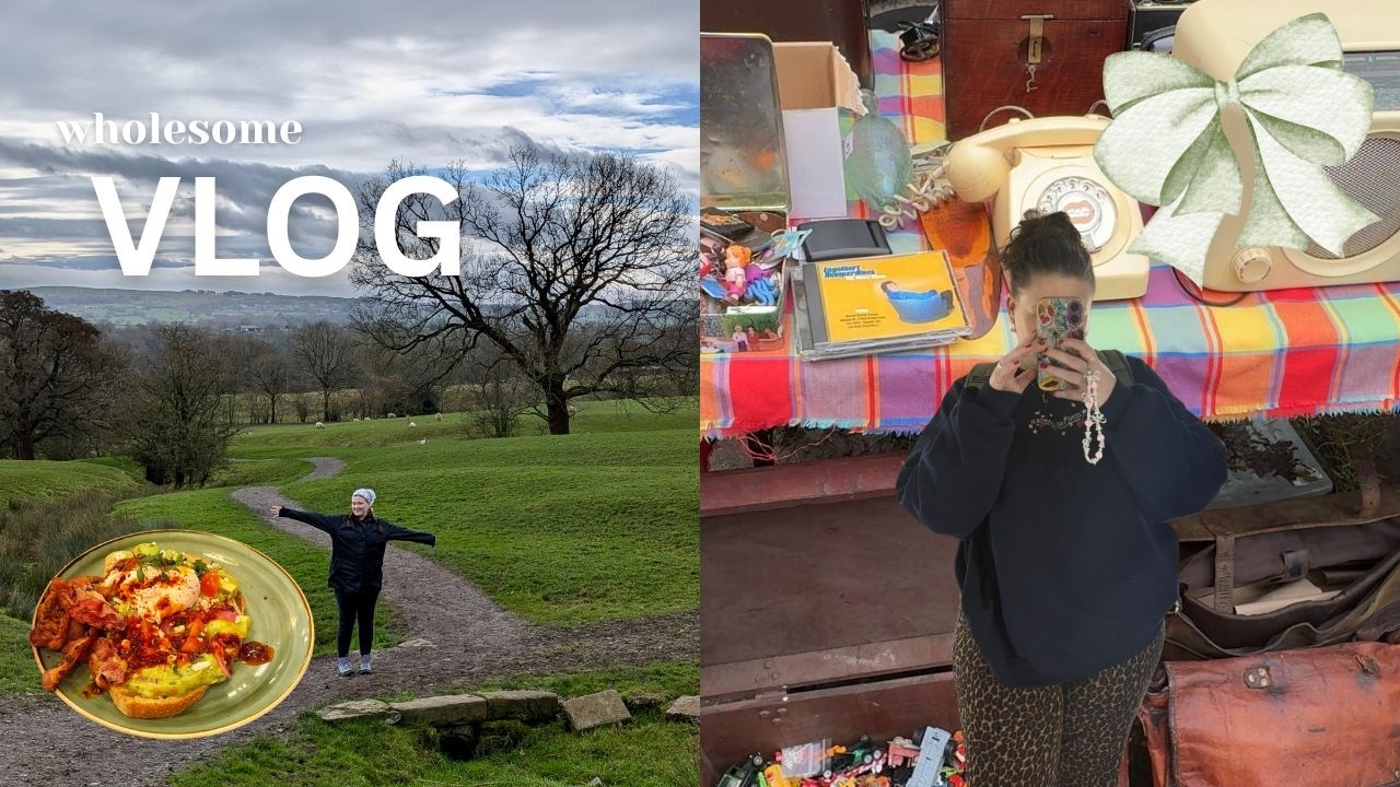 wholesome vlog + hauls