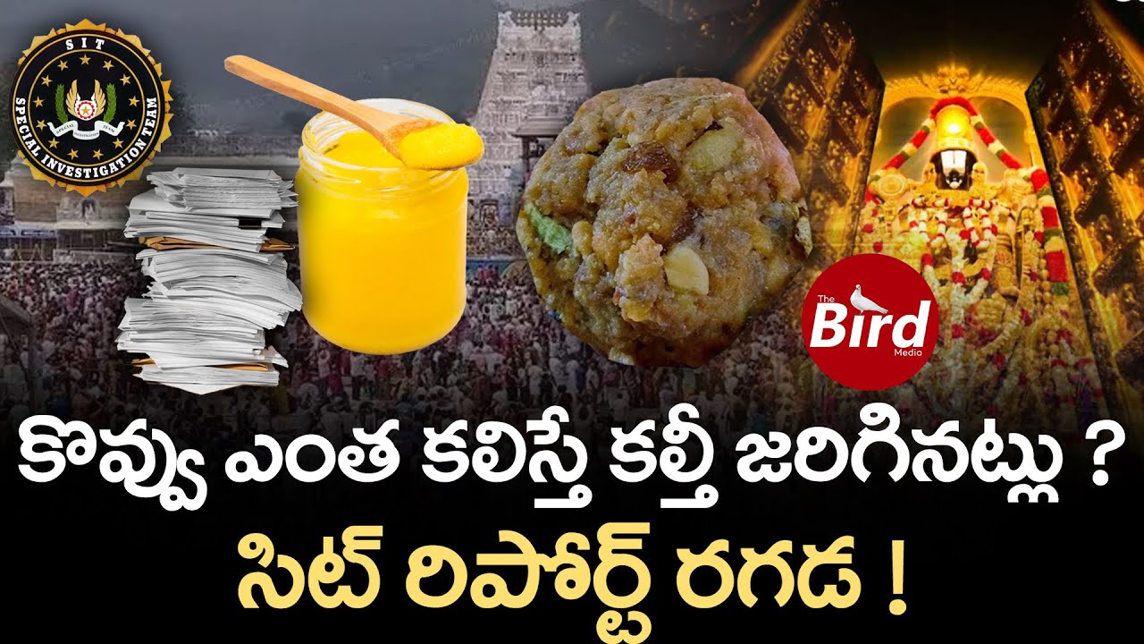 కొవ్వు ఎంత కలిస్తే కల్తీ జరిగినట్లు? సిట్ రిపోర్ట్ రగడ!| CBI Report On TTD Laddu Ghee Adulteration |