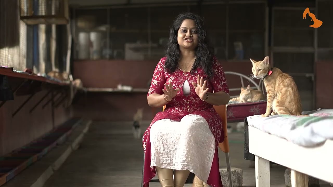 The Reality of Running an Animal Shelter in India | Sudha Shelter Home