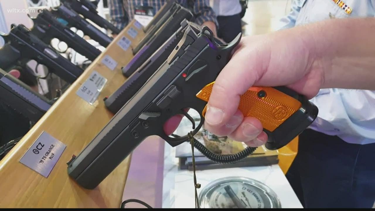 SC Senators pass bill allowing open carry of weapons with permit