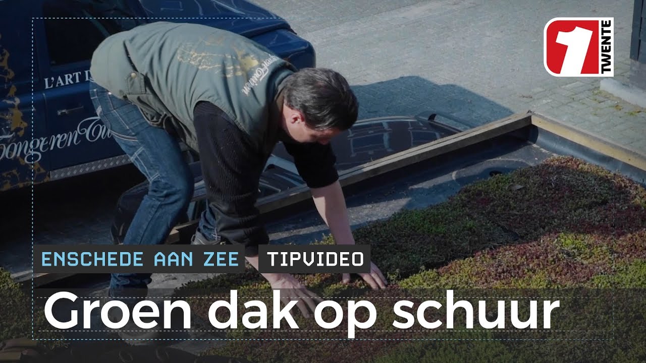 Dak vol vetplantjes tegen wateroverlast