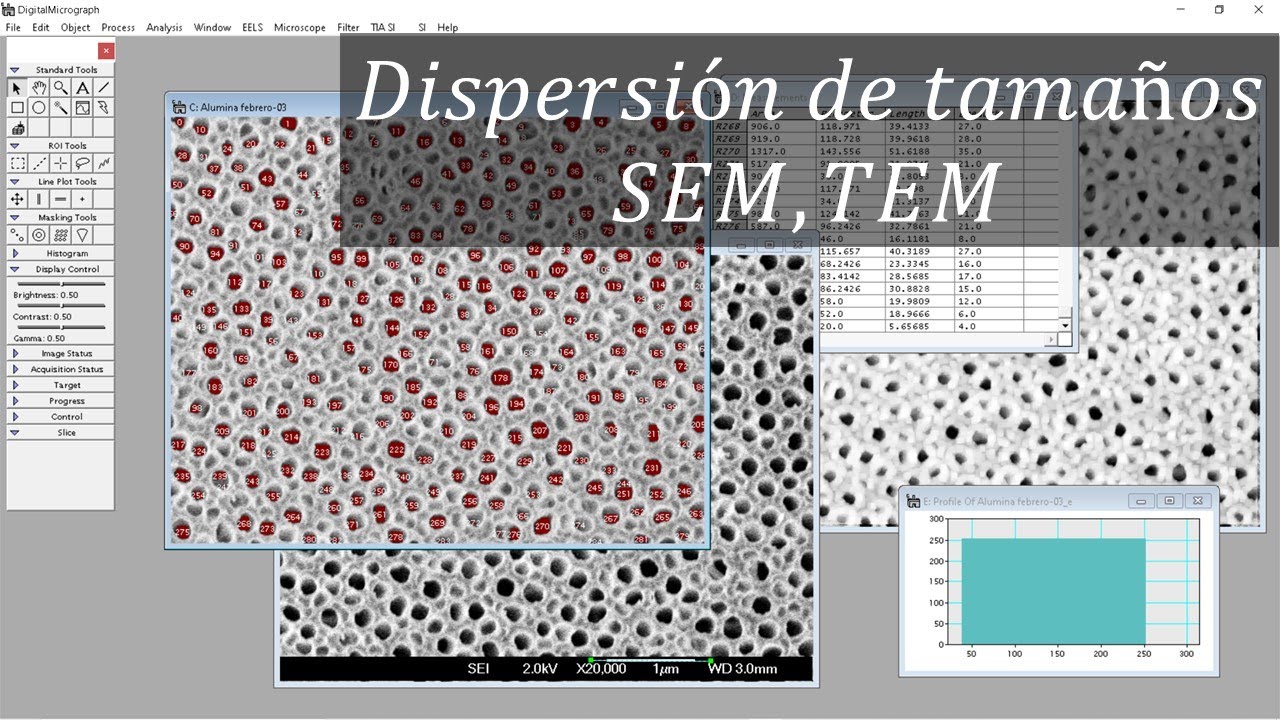 ¿Como determinar el diámetro de partículas con DigitalMicrograph?