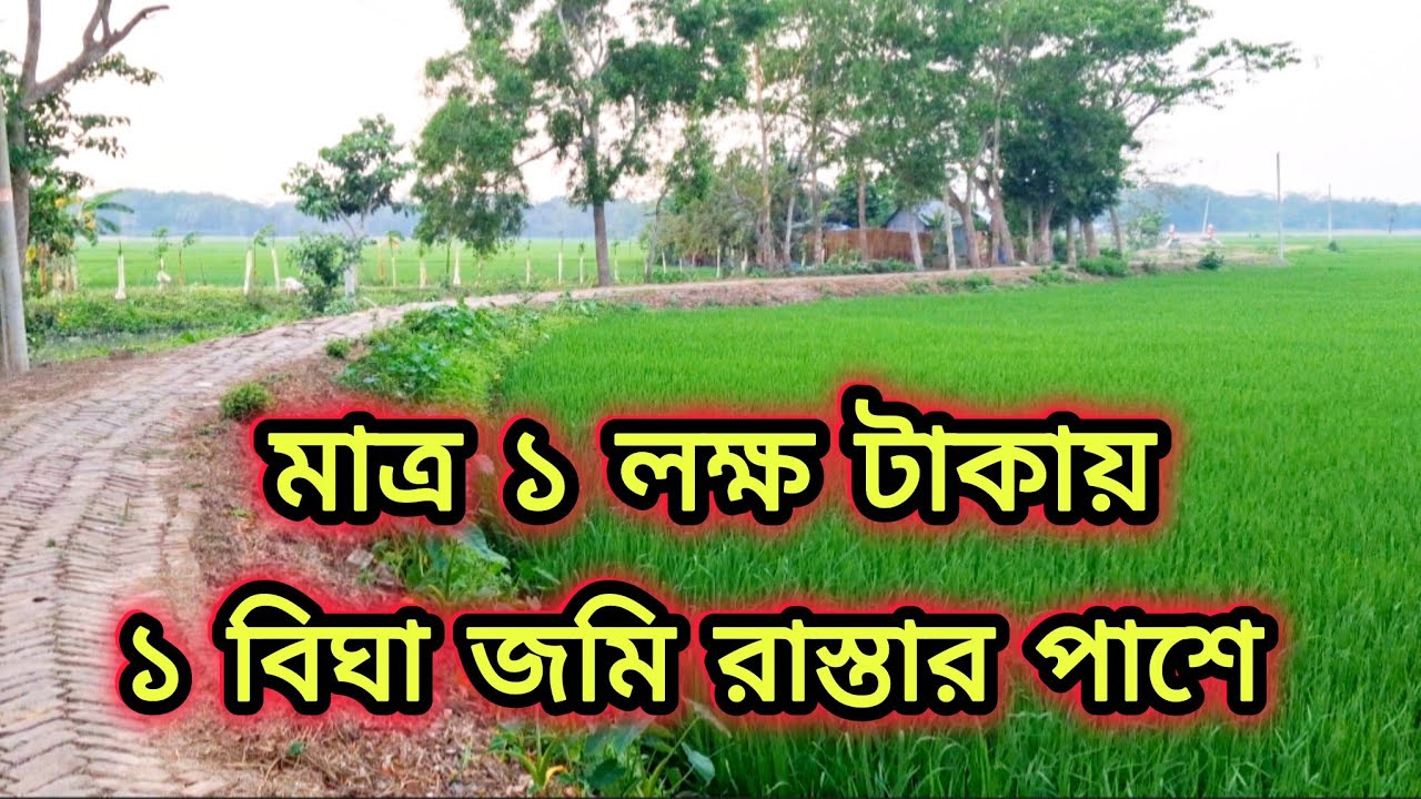 ১ বিঘা জমি ১ লাখ একেবারে রাস্তার পাশে ০১৯১৯৪২৯৭২৫