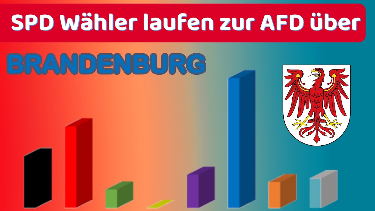 Brandenburg Umfrage - Wie w&uuml;rde Brandenburg w&auml;hlen, wenn Sonntag Landtagswahl w&auml;re?
