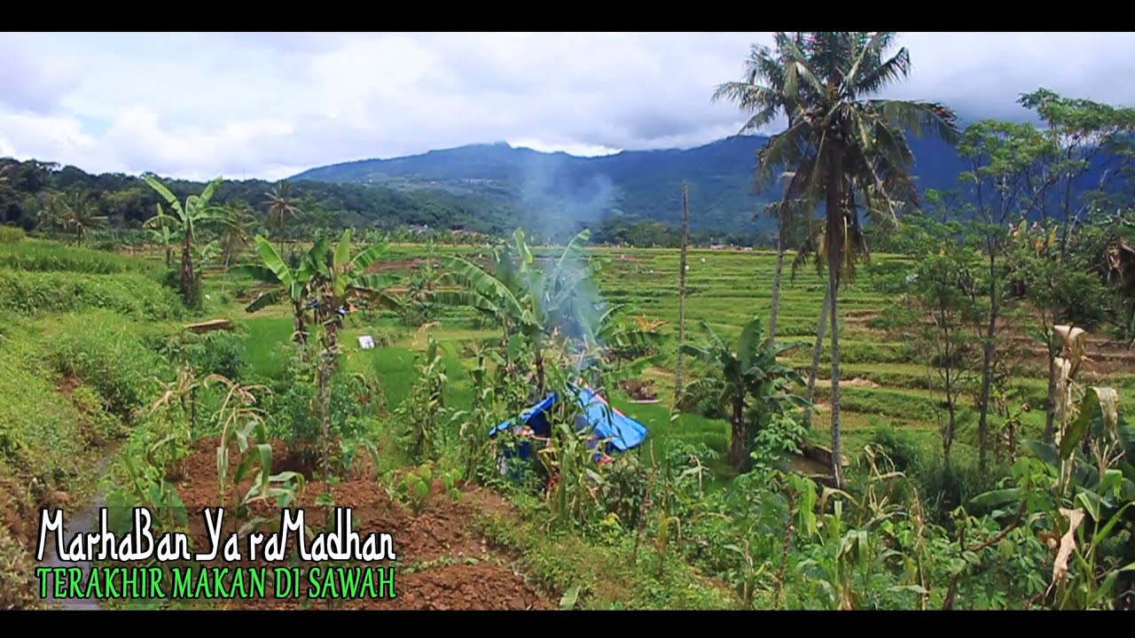 Terakhir Makan Di Sawah Sebelum Bulan Ramadhan
