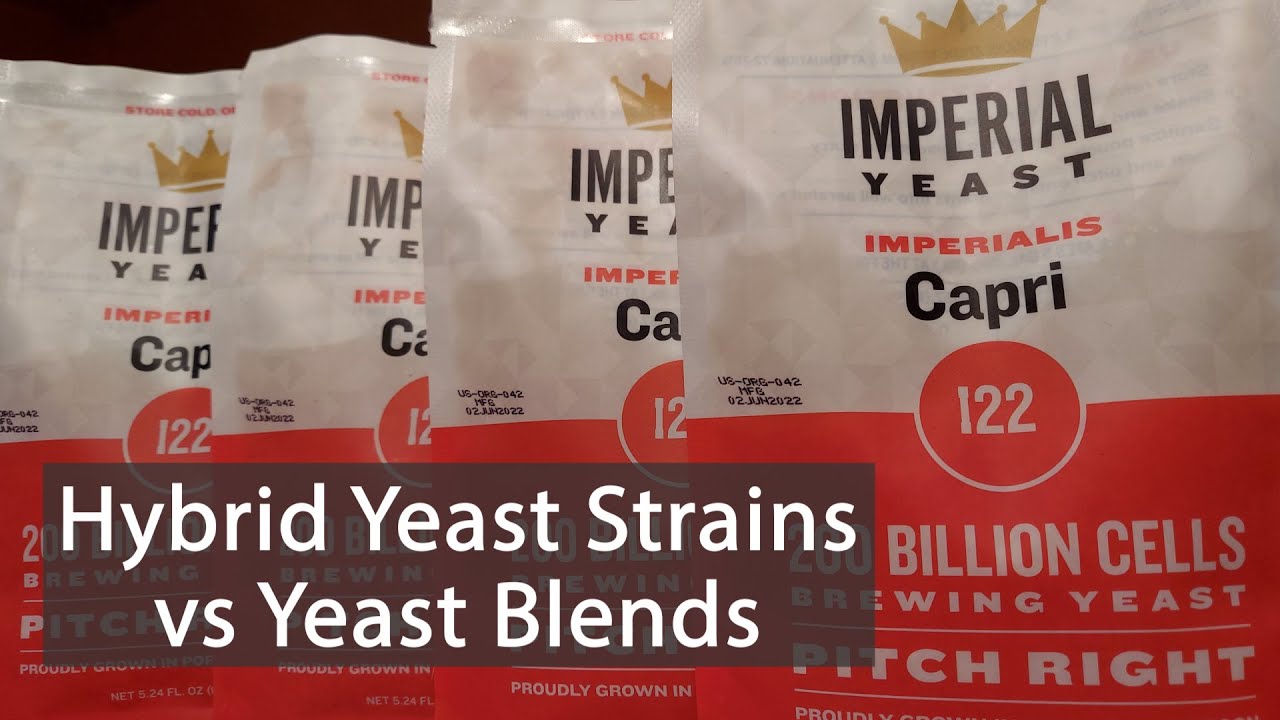 How Is a Hybridized Yeast Different from a Yeast Blend?