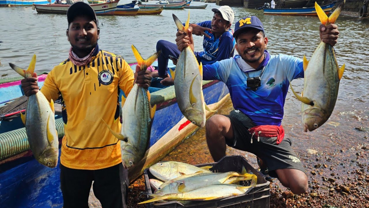 होडीने पकडल्या खूप Yellofin GT, कोकेरि मासे 