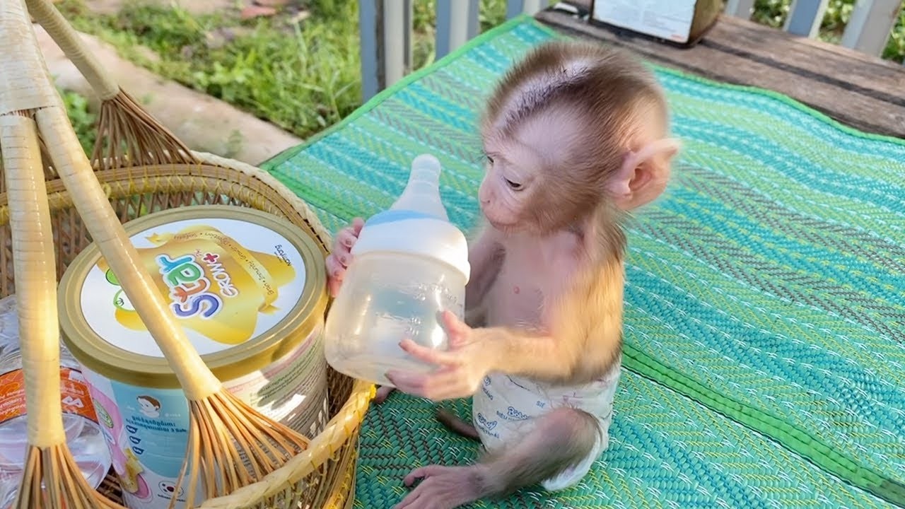 Poor Baby Dorn Just A Empty Bottle During Mom Busy