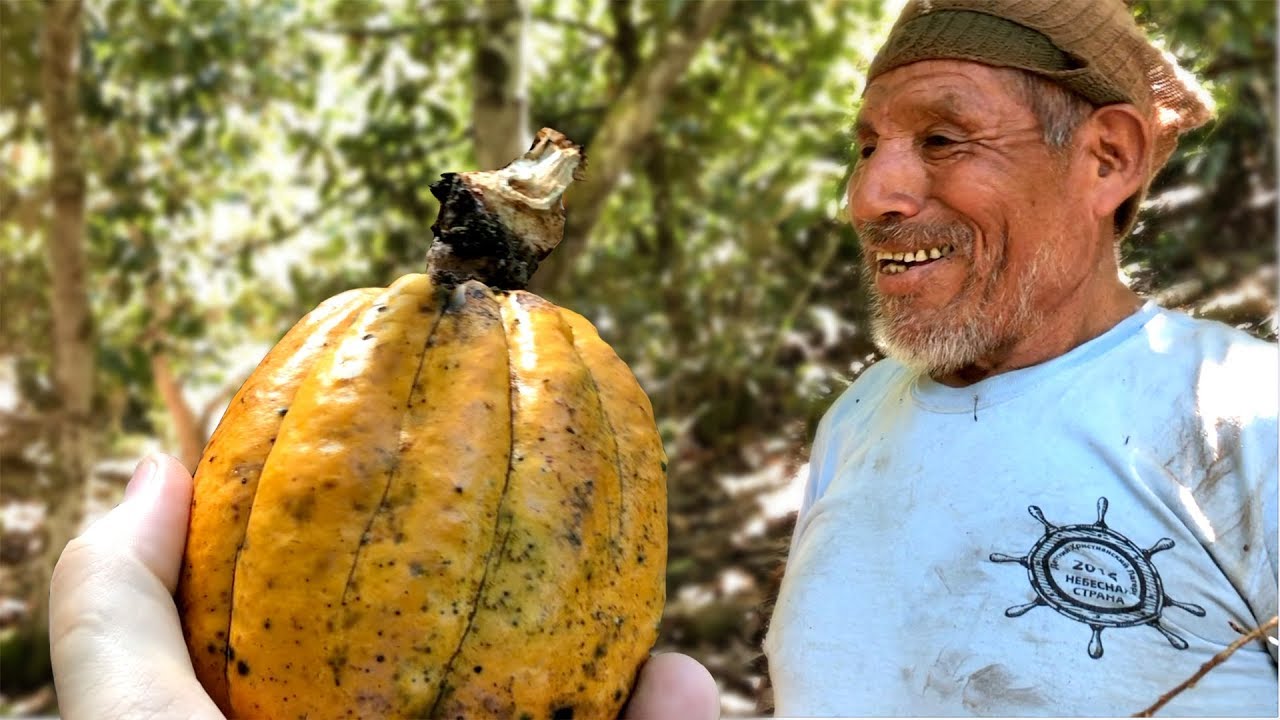 El Cacao podría ser Peruano