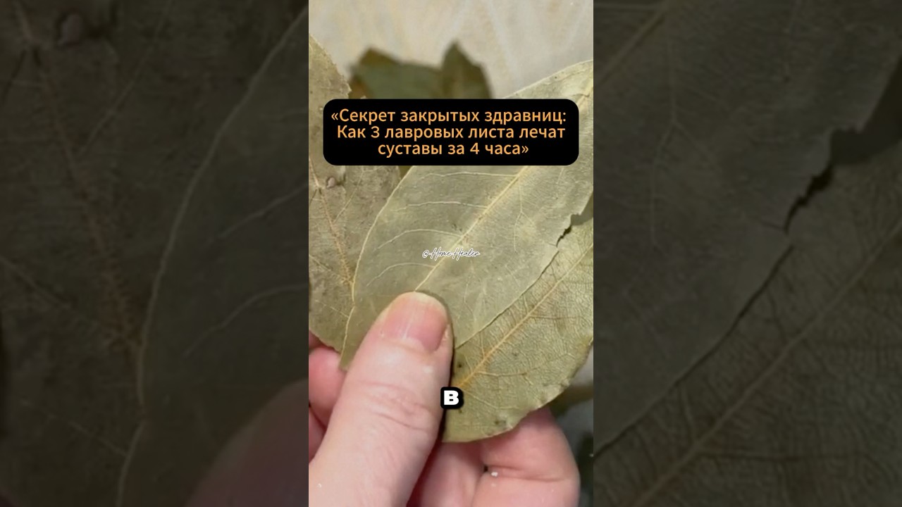 &laquo;Протокол №1: Почему в спецсанаториях не использовали мази, а прикладывали лавр?&raquo; #здоровье