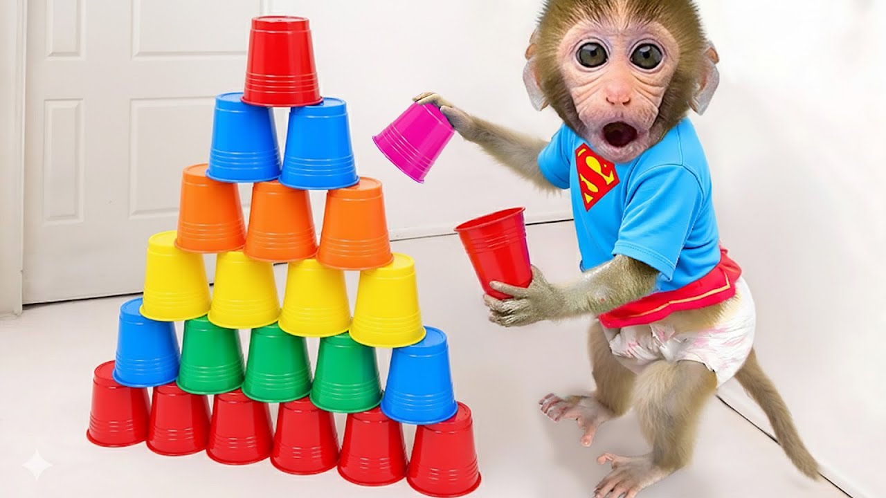 🐒💦😫 Bebé Mono GoGo Lava Mucha Ropa Por Un Día De Mala Suerte! - Gogo ESP